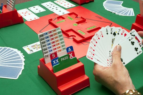 bridgeles-driebergen